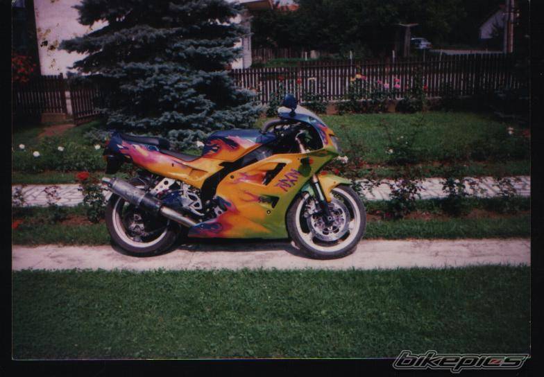 Photo 199884
