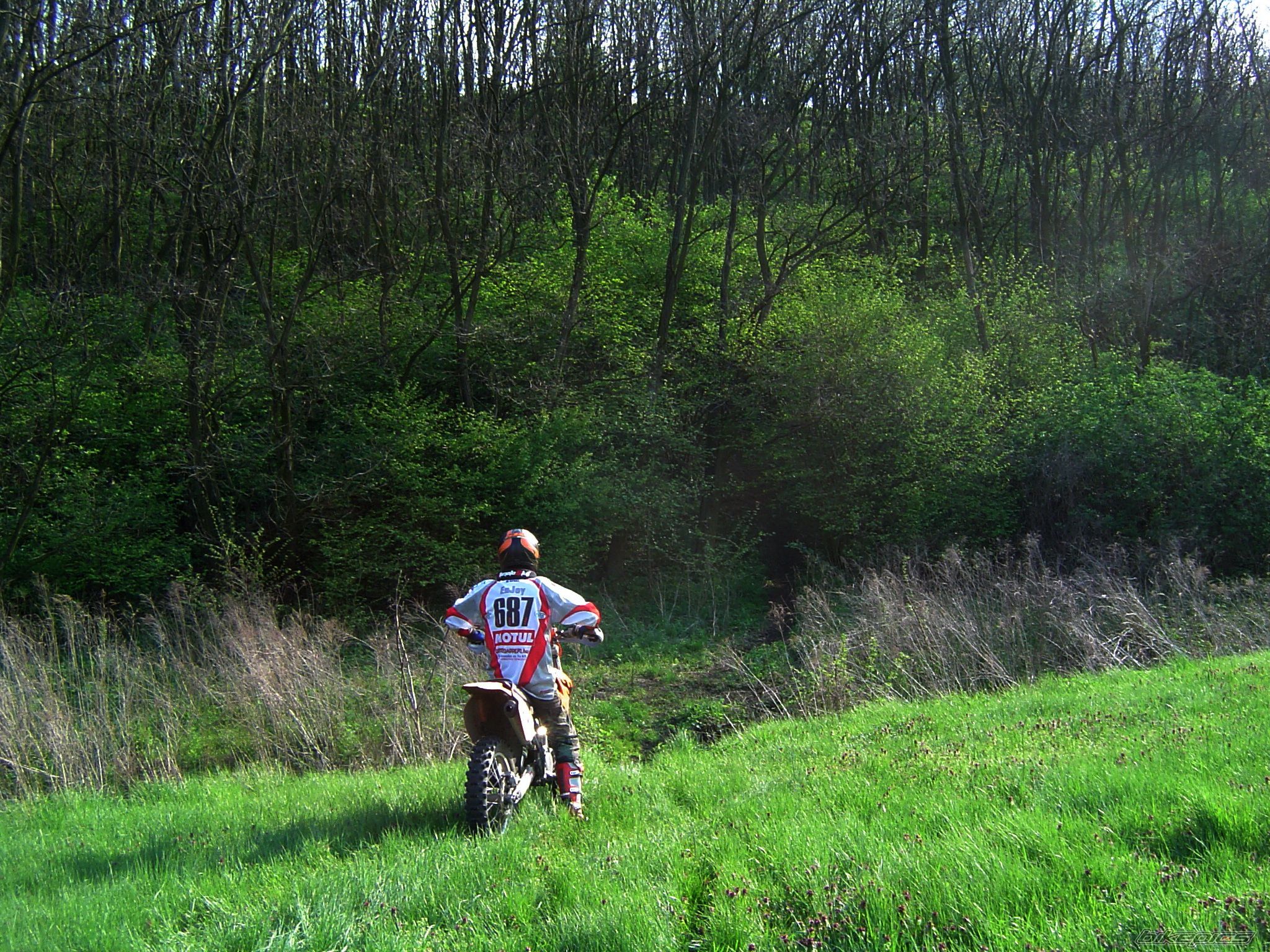 Photo 1999050