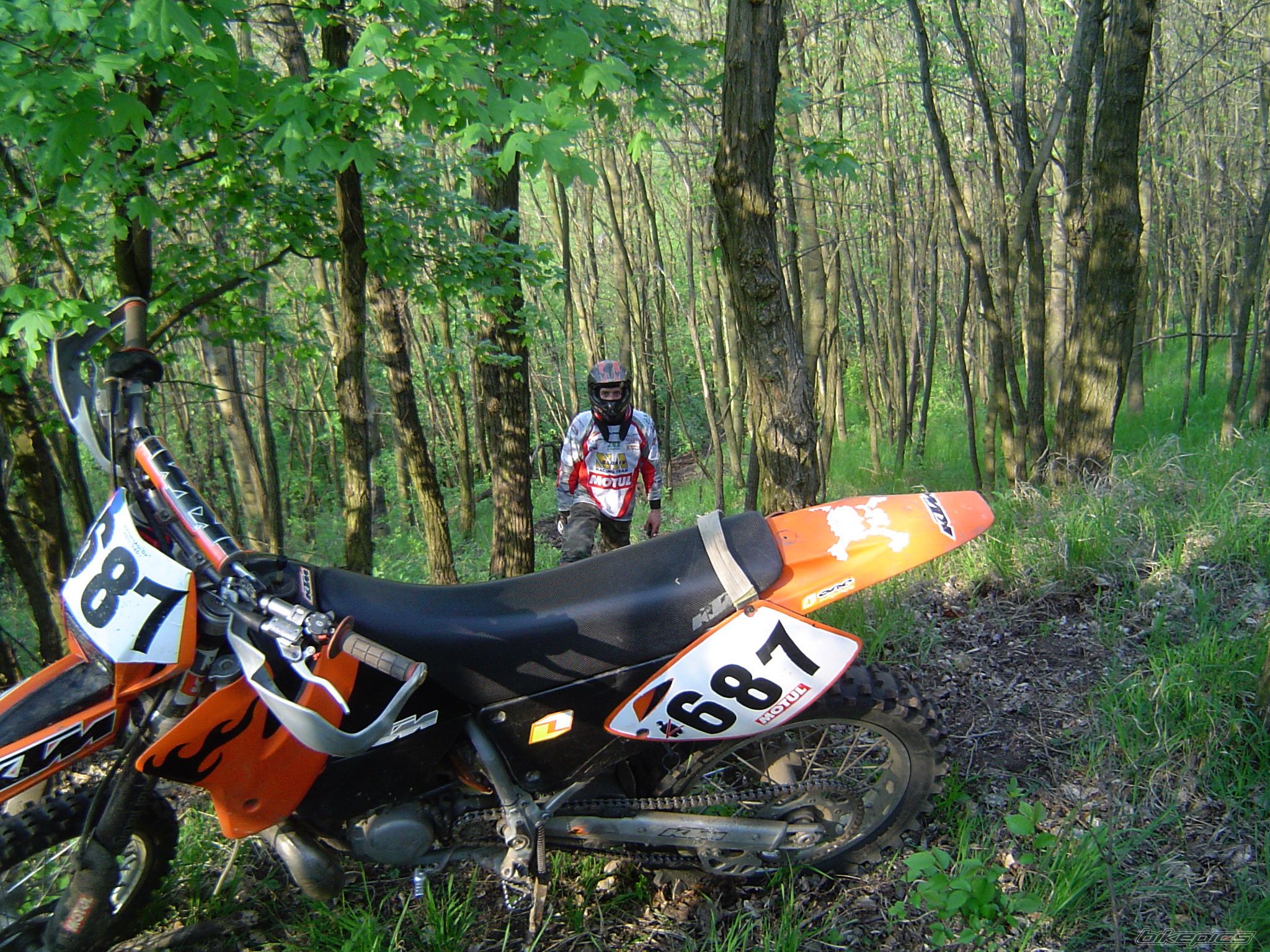 Photo 1999059