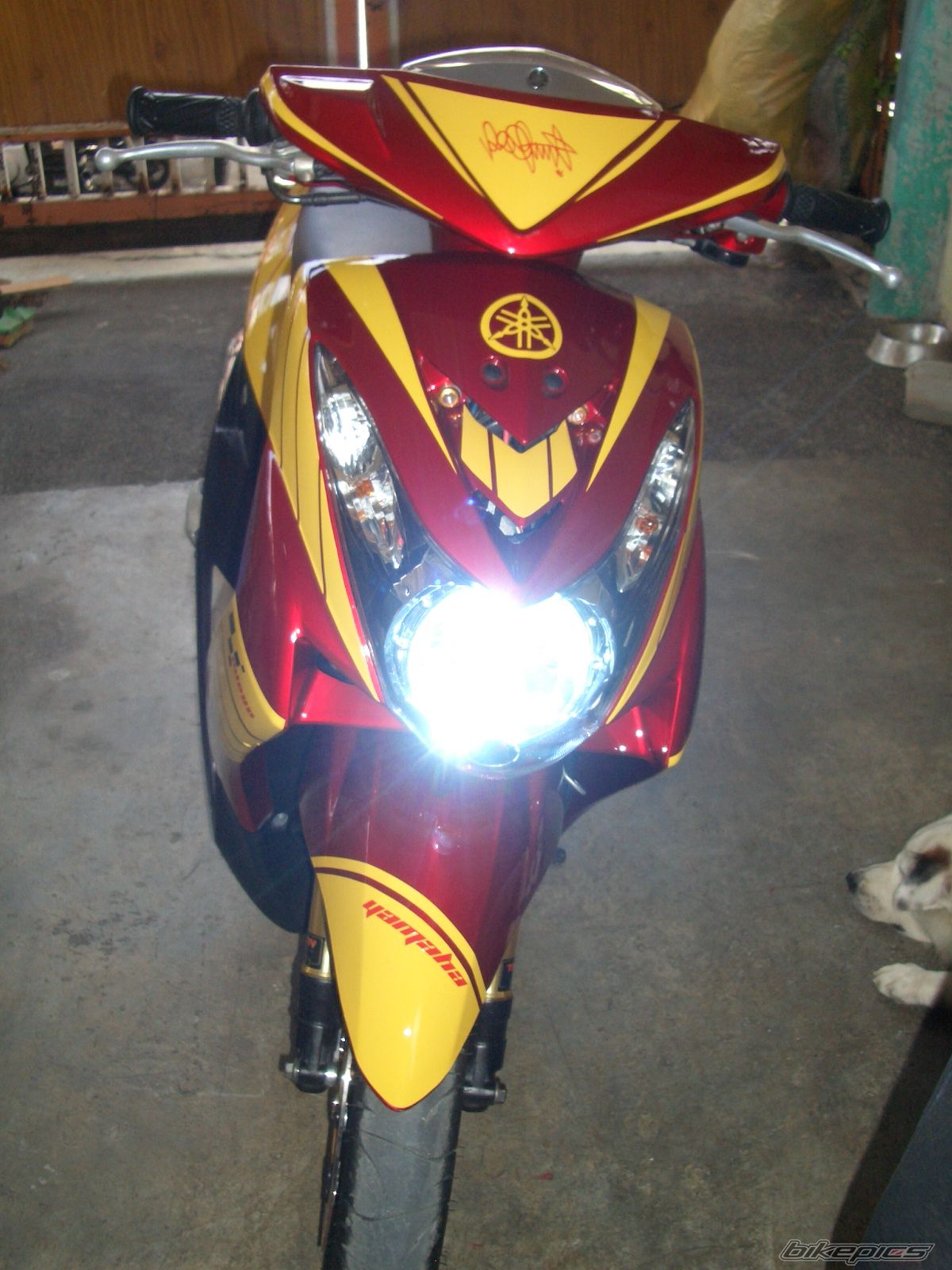 Bike Photo 1999186