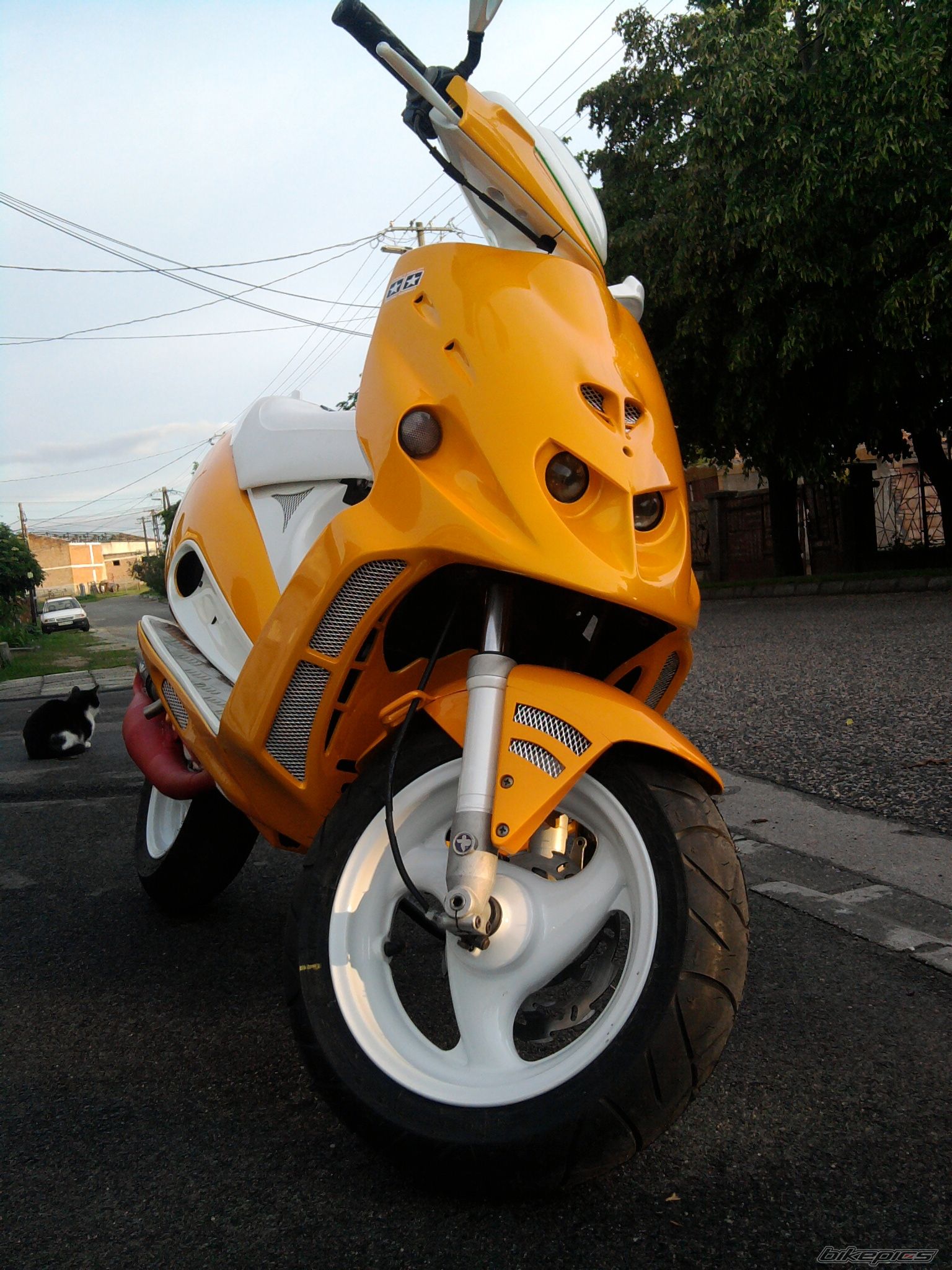 Photo 1999310
