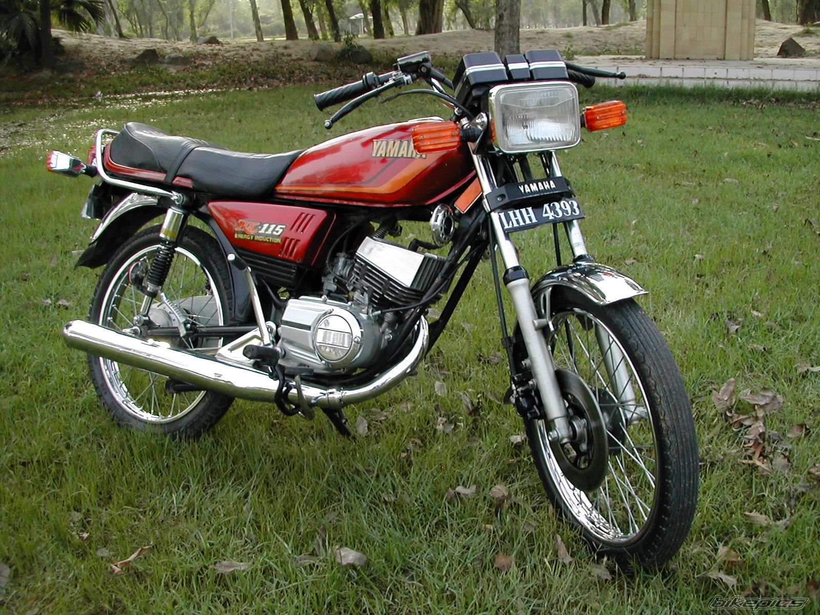 Bike Photo 1999686