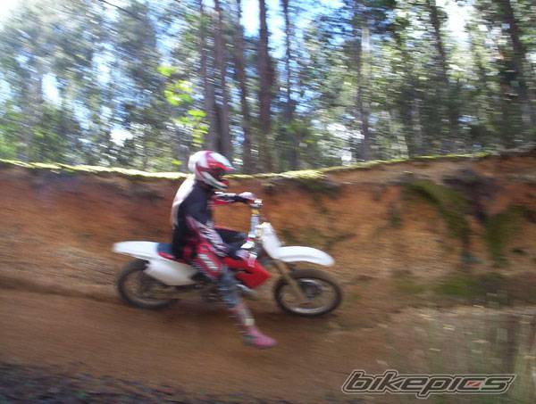 Photo 199979