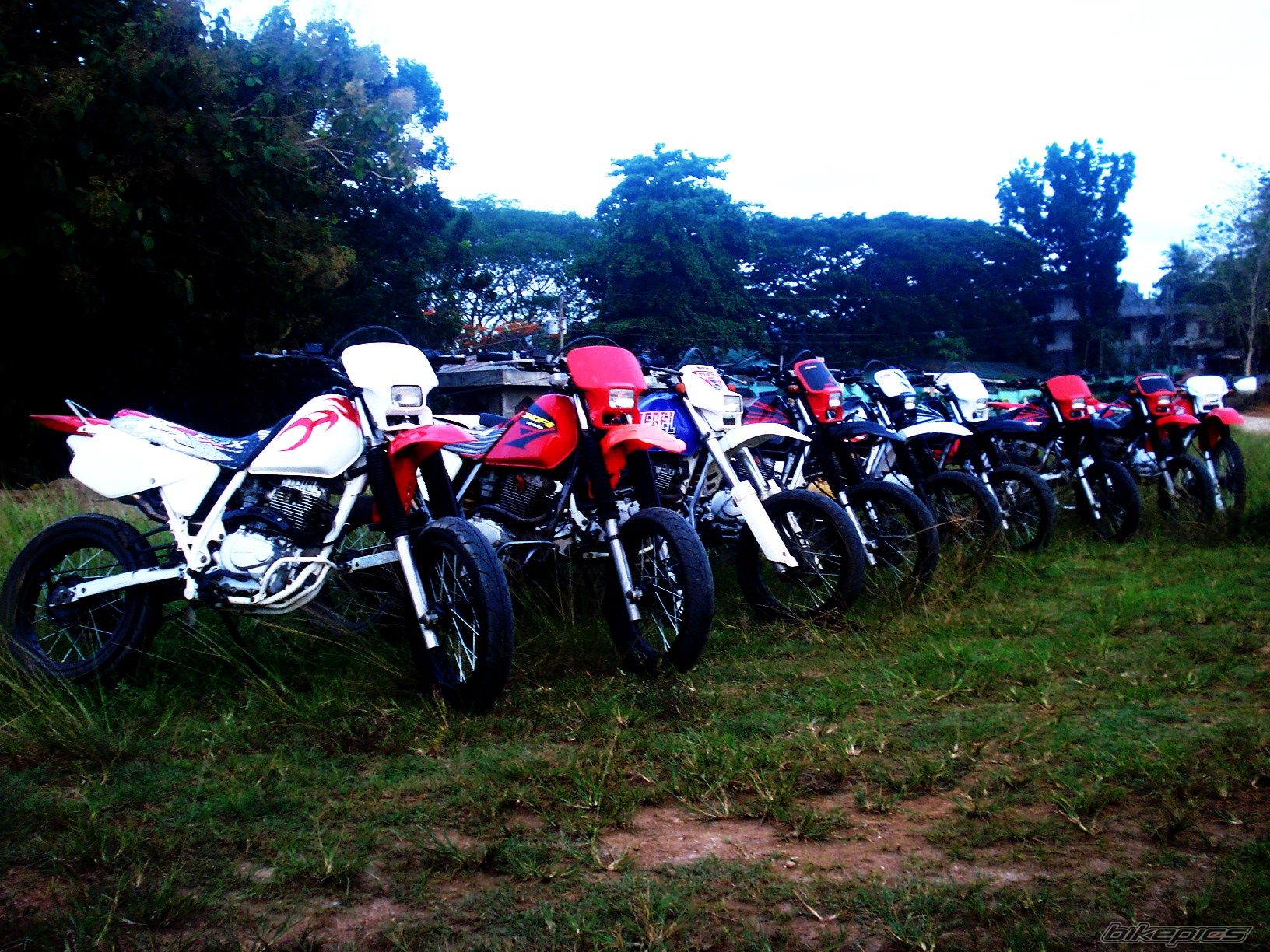Bike Photo 1999967