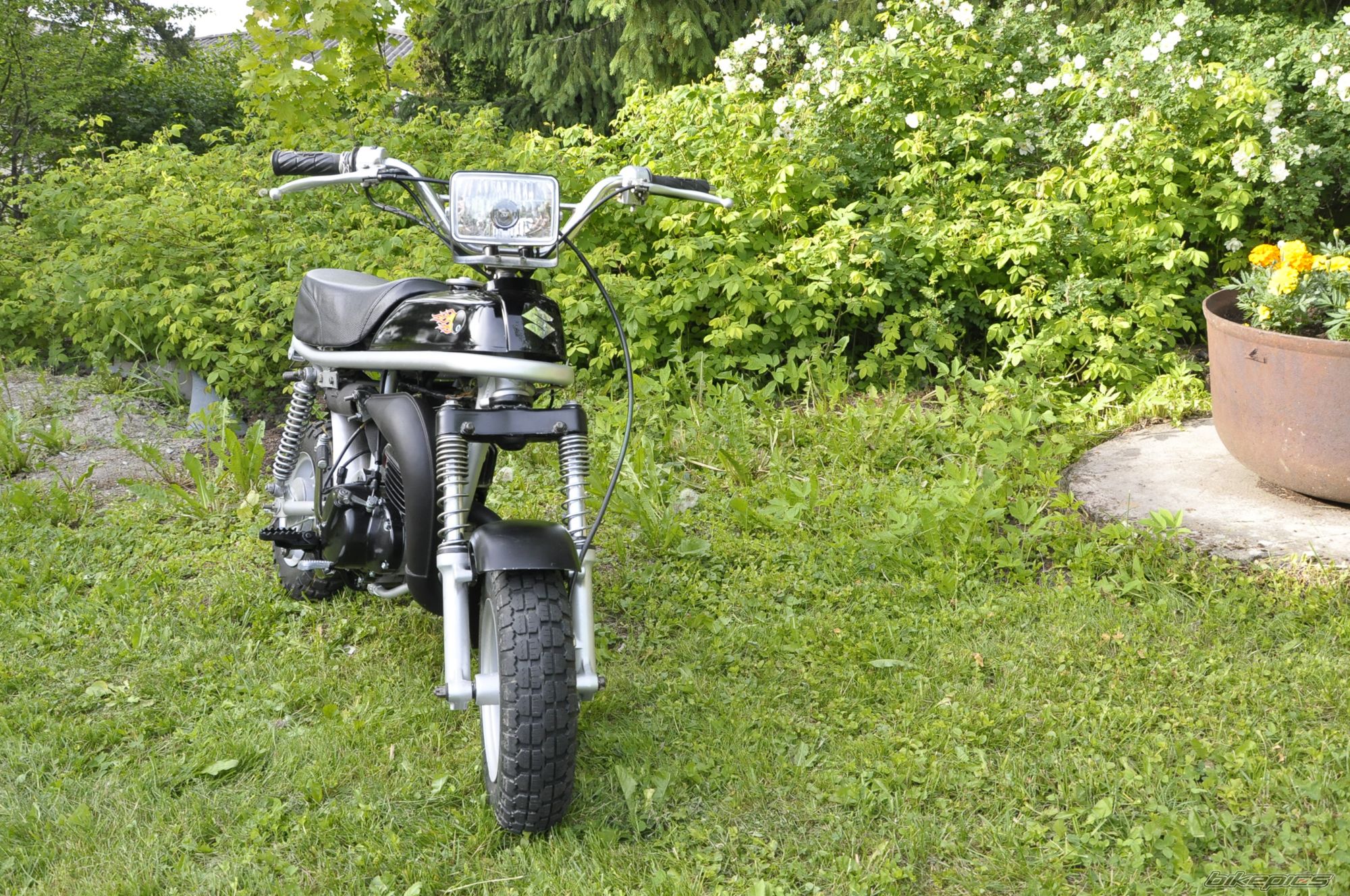 Photo 2000108