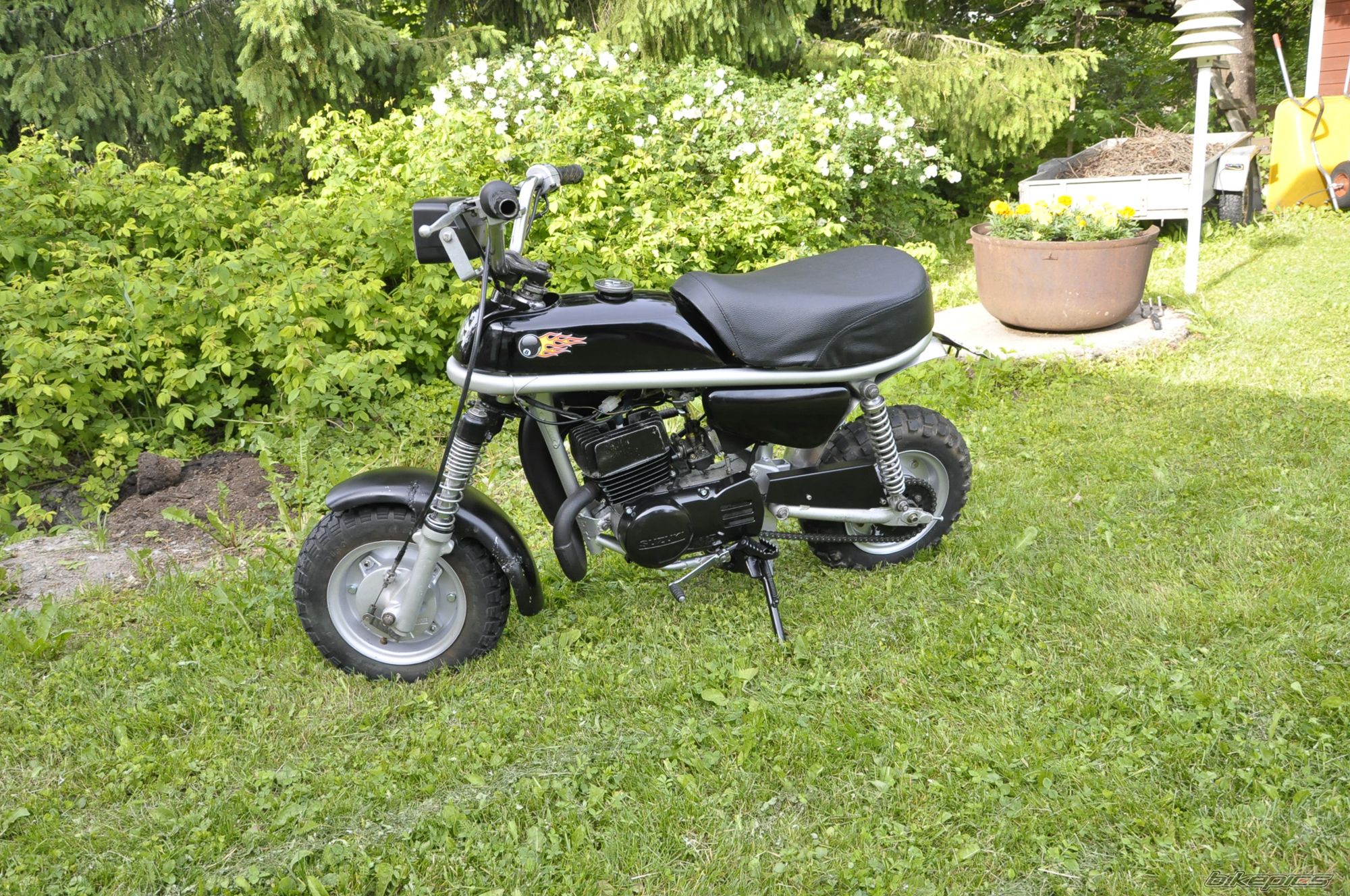 Photo 2000120