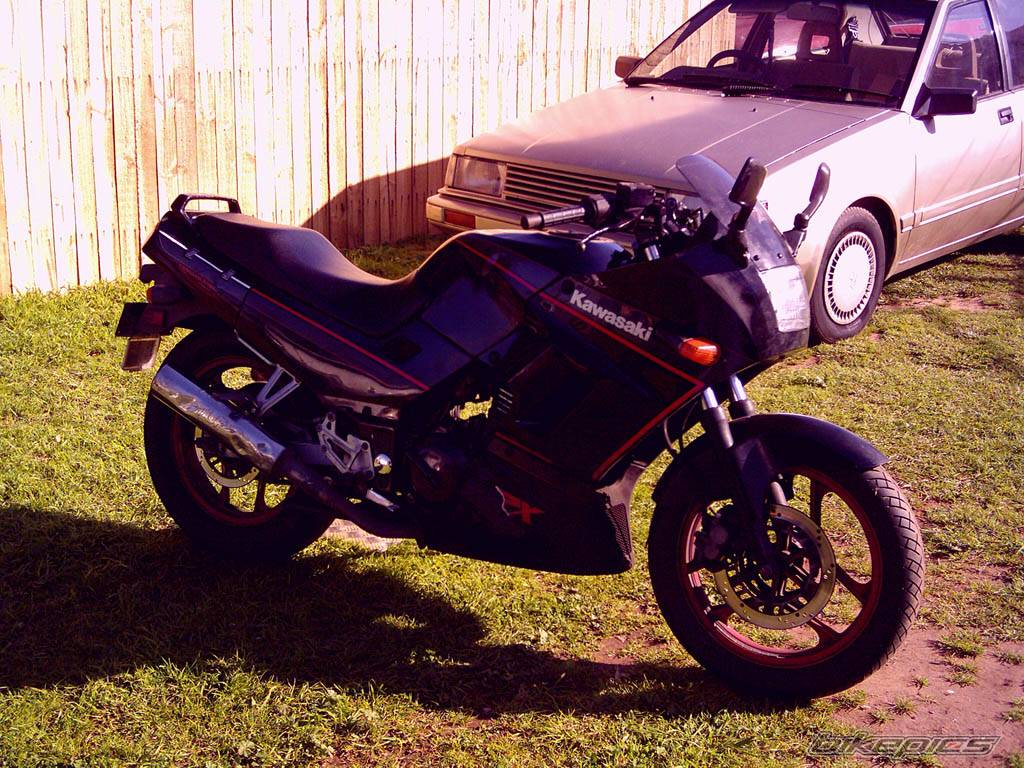 Photo 200026