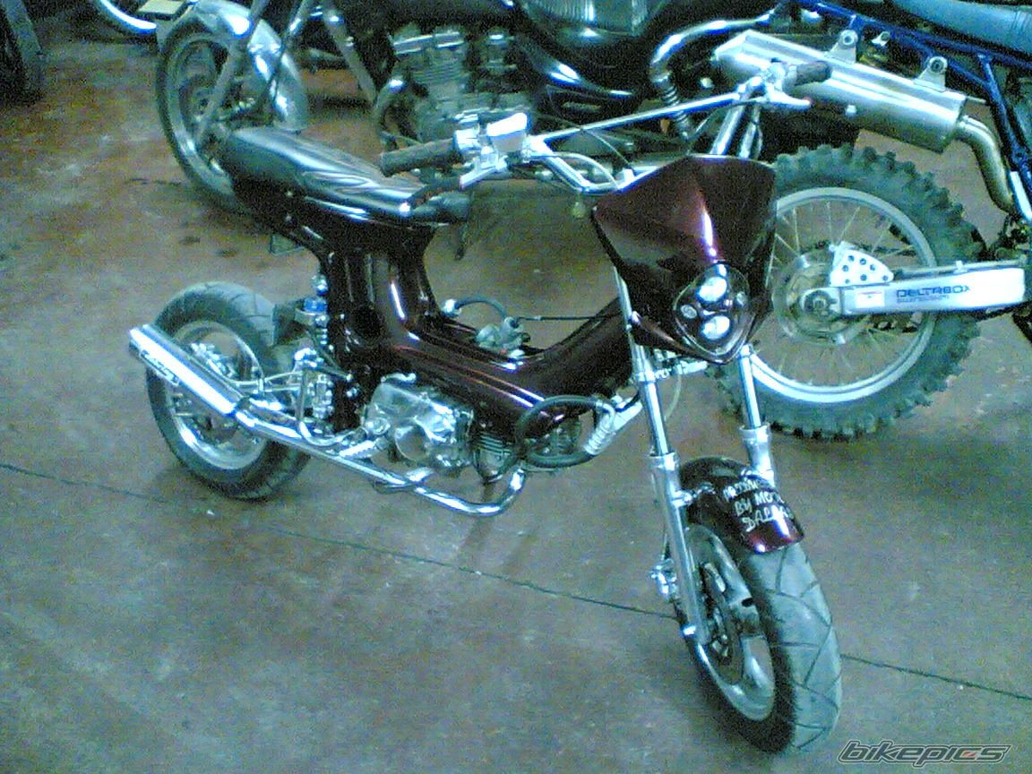 Photo 2000545