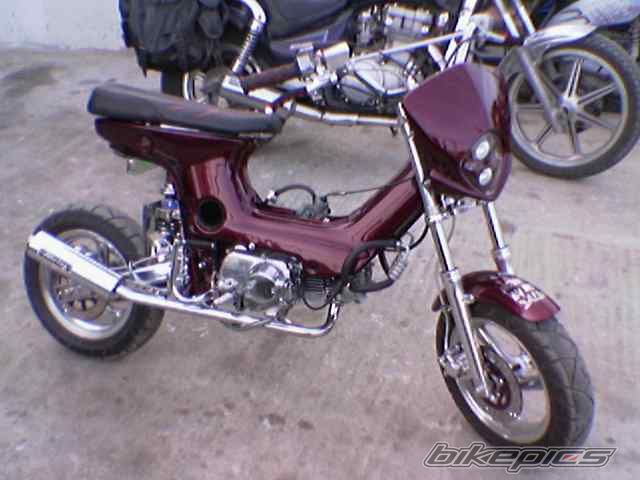 Photo 2000546