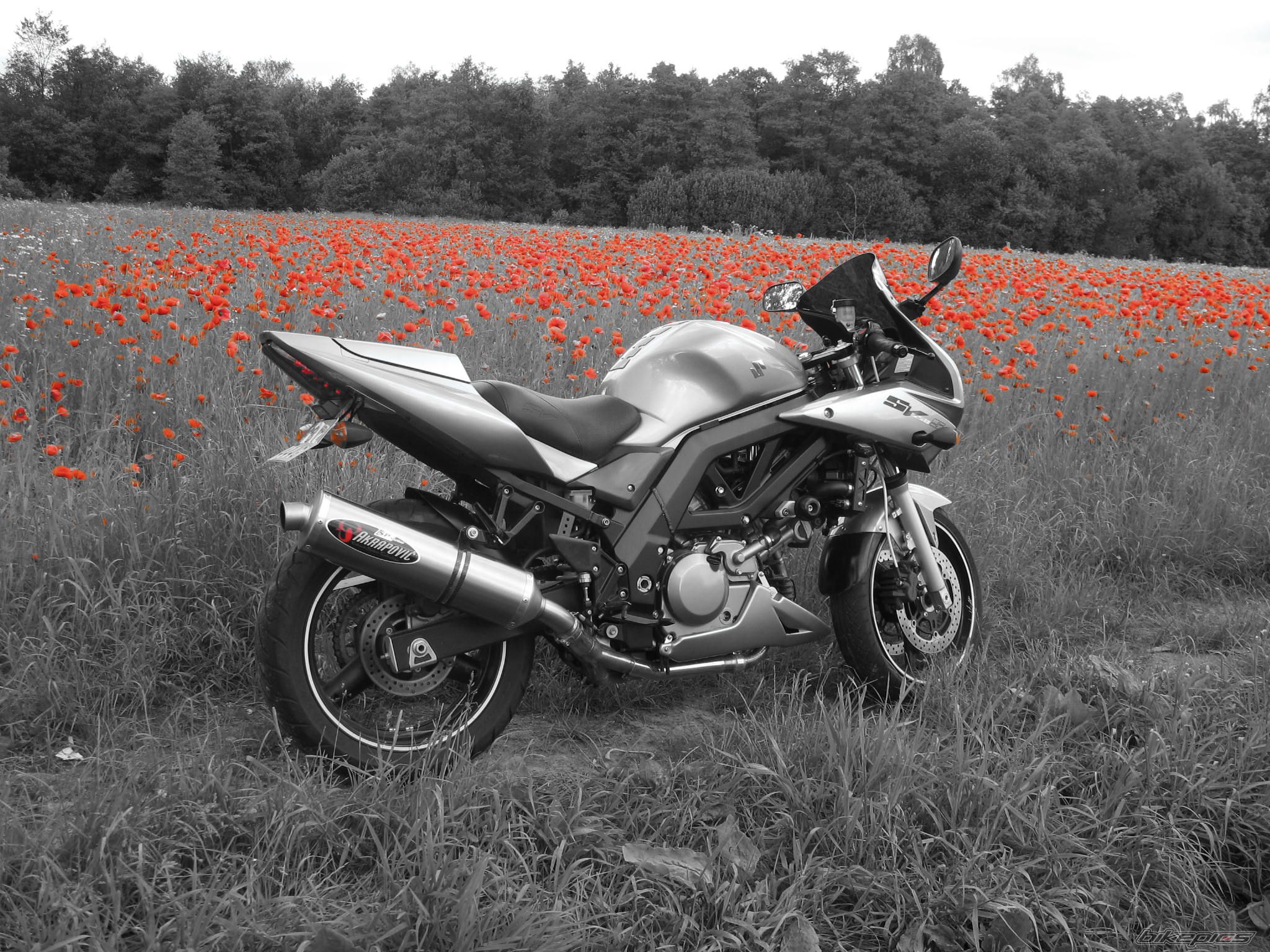 Bike Photo 2000596