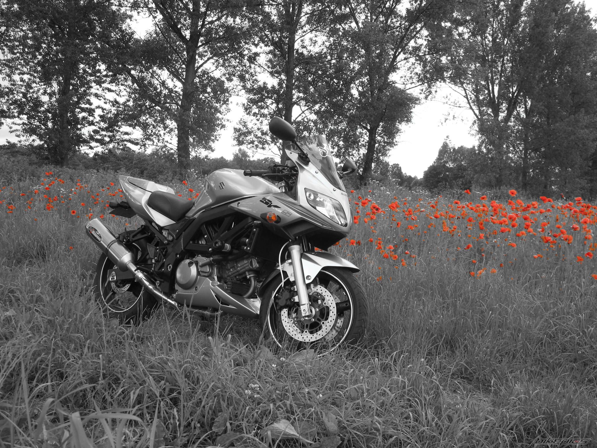 Photo 2000598