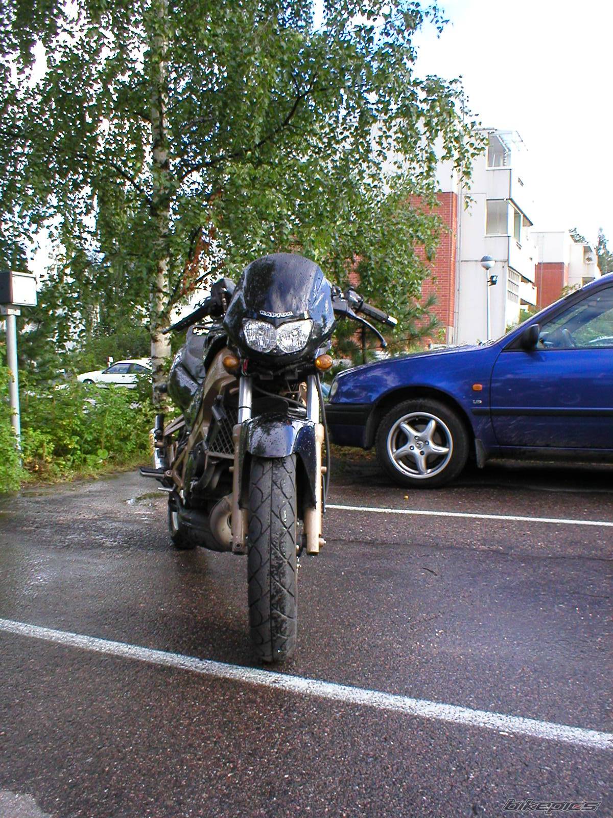 Photo 200098