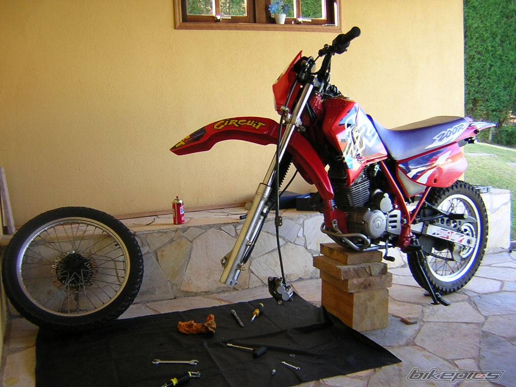 Photo 200100