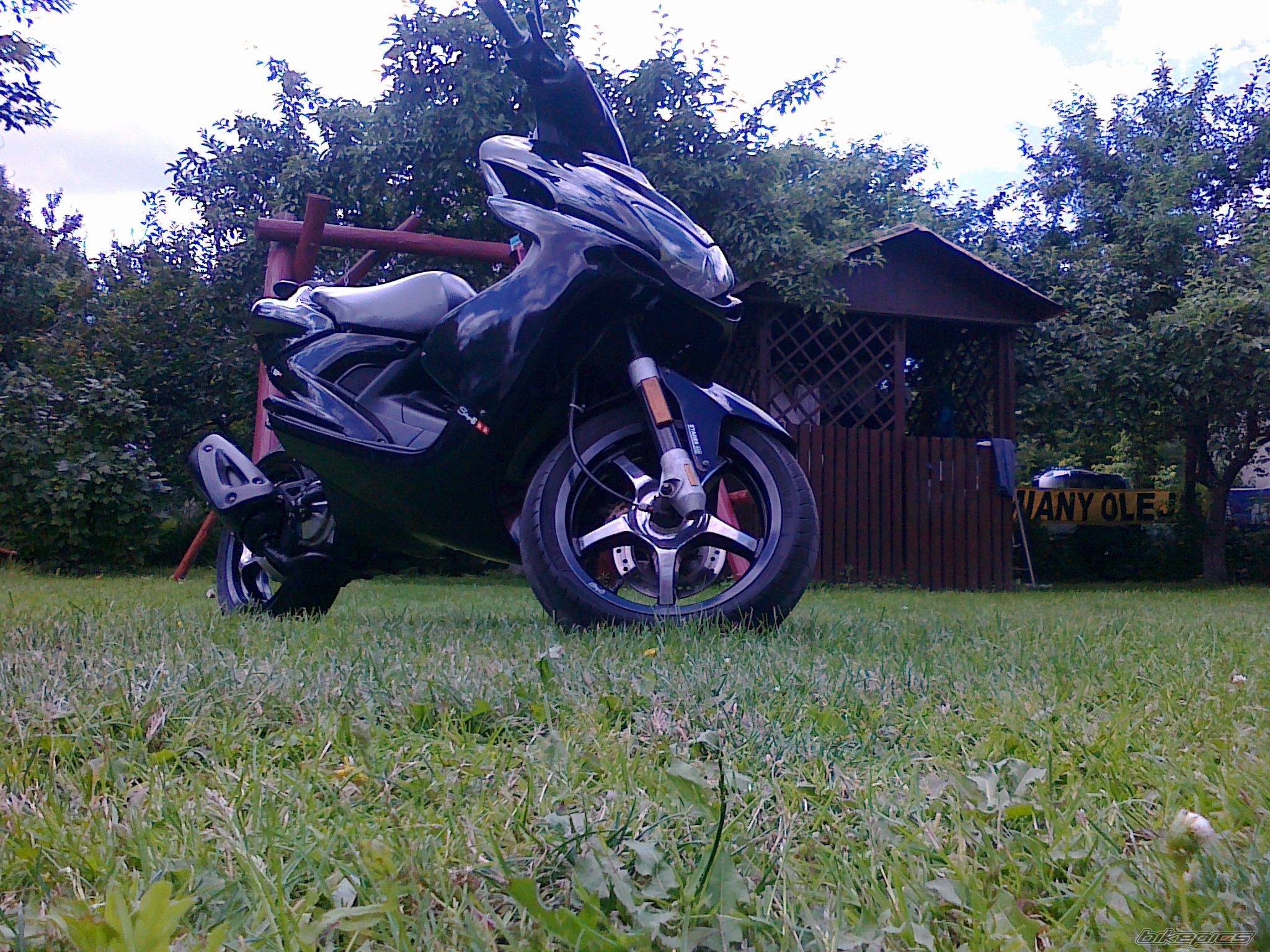 Photo 2001006
