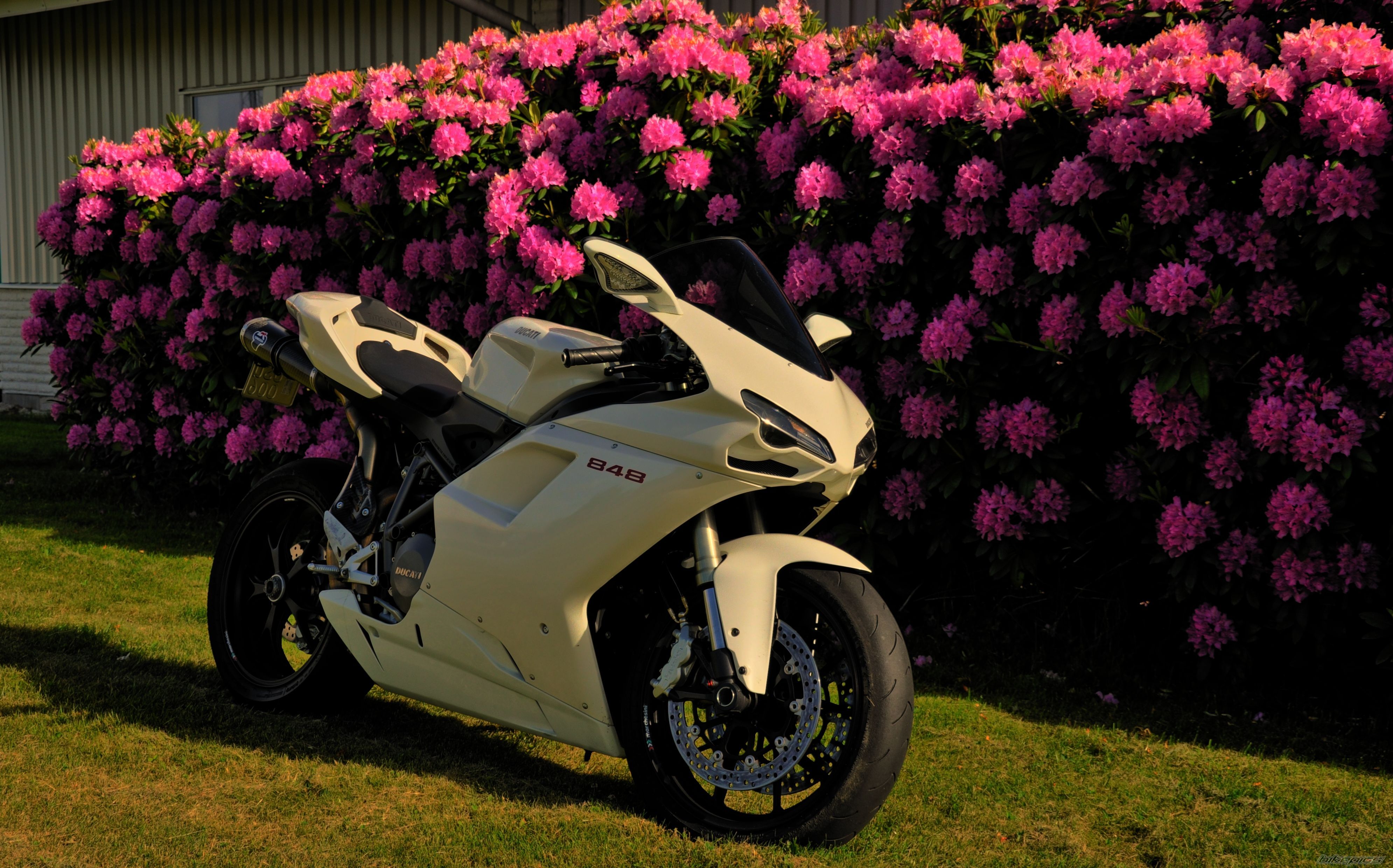 Bike Photo 2001244
