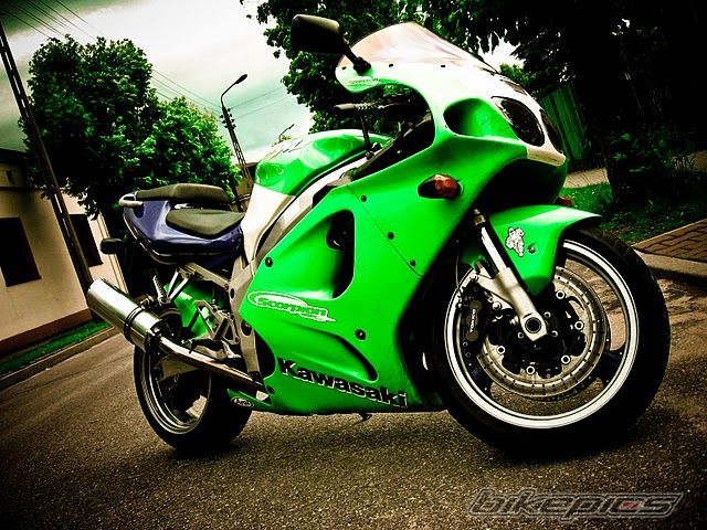 Photo 2001295
