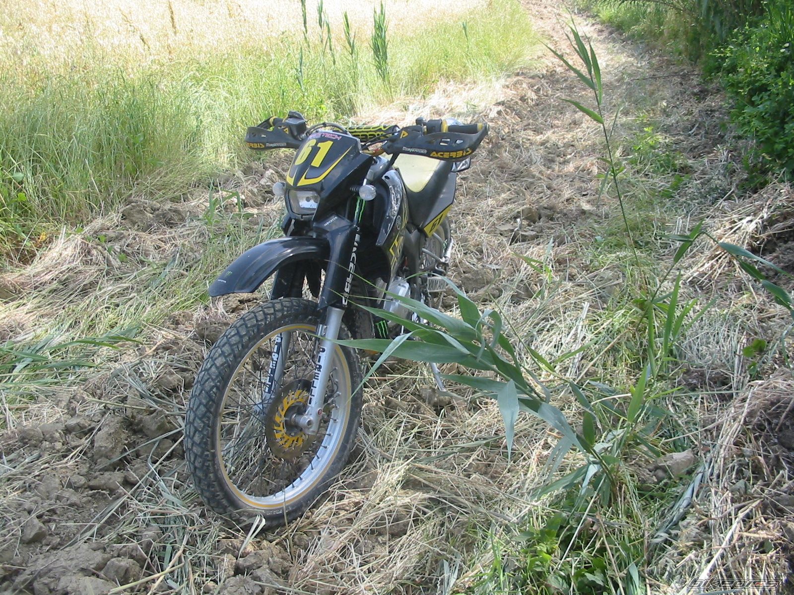 Photo 2001317
