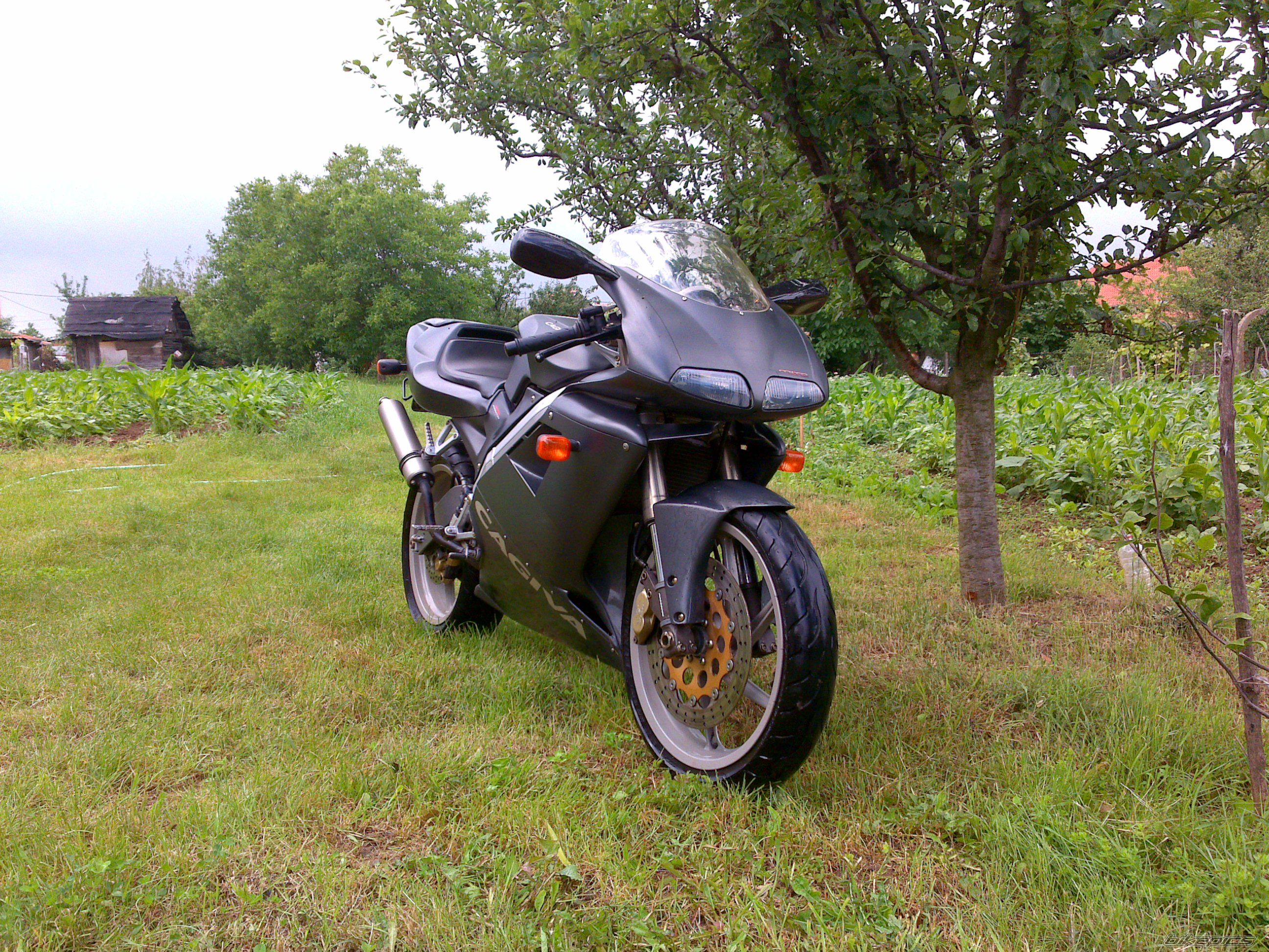 Photo 2001505
