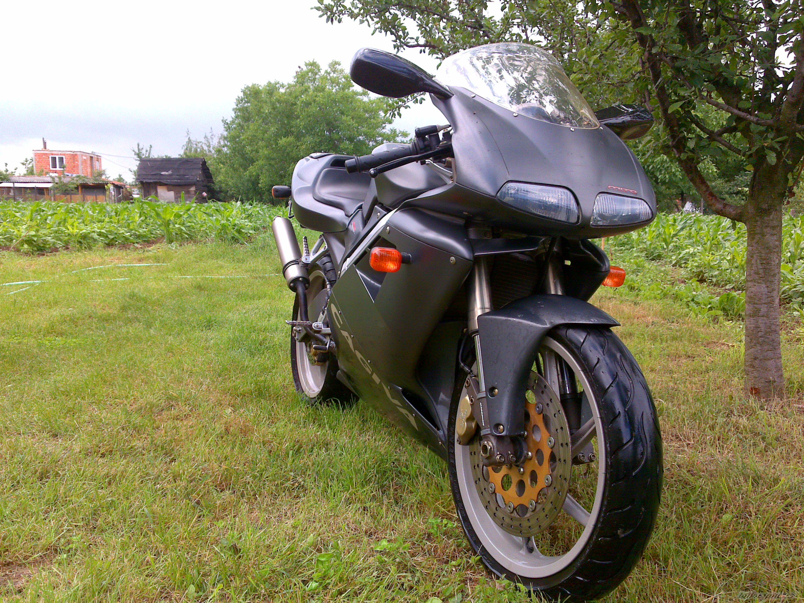 Photo 2001512