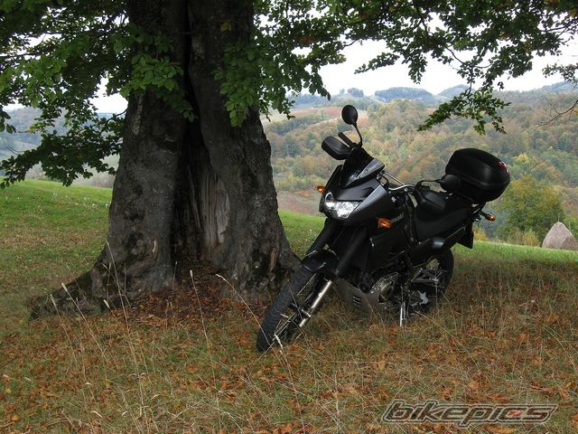 Bike Photo 2001536