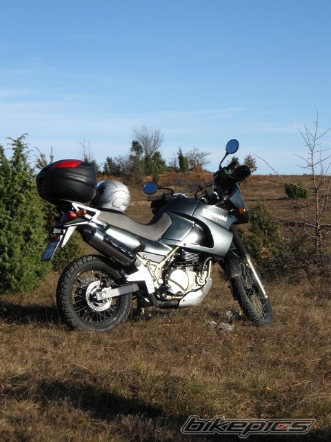 Photo 2001540