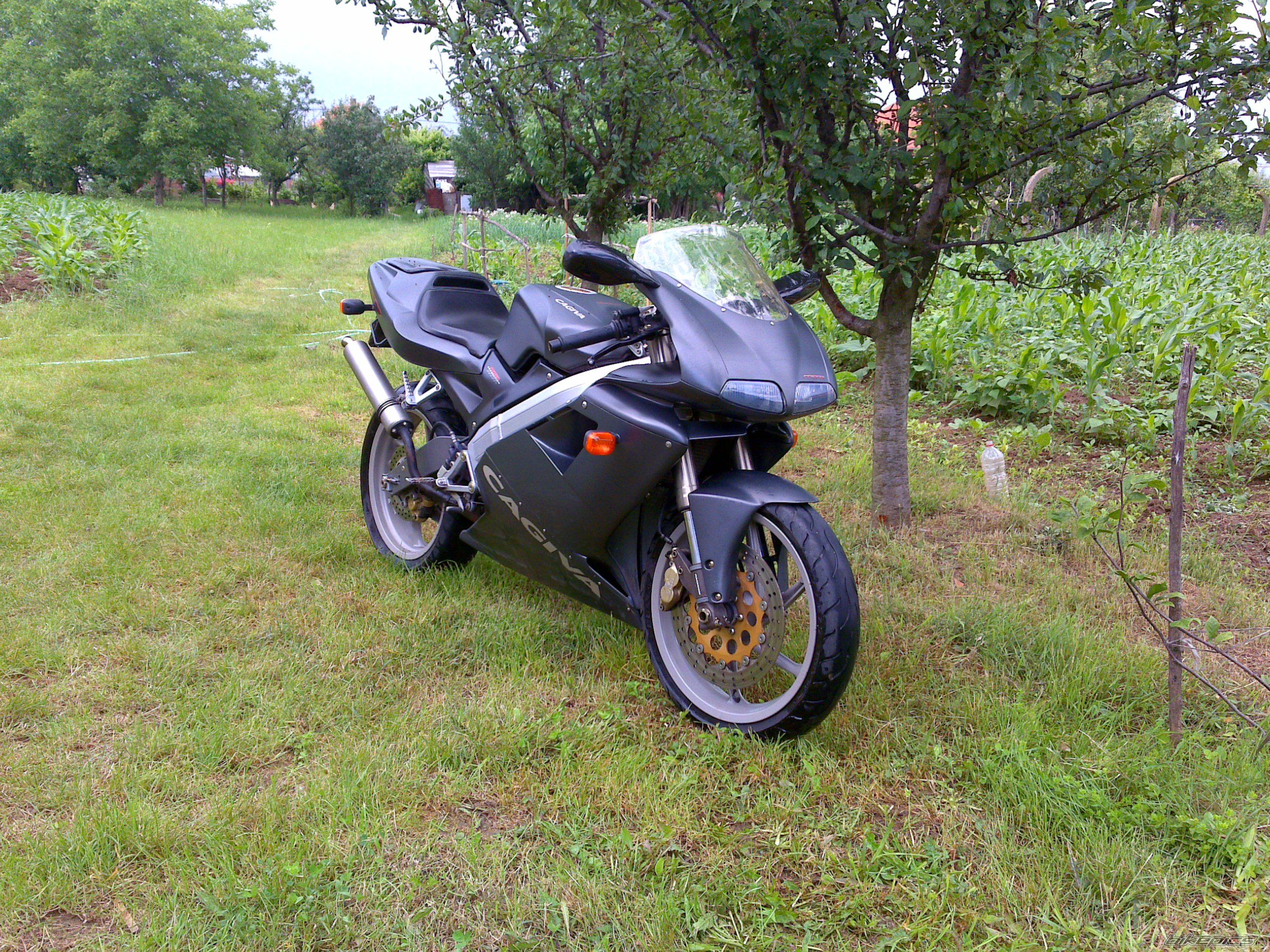 Photo 2001541