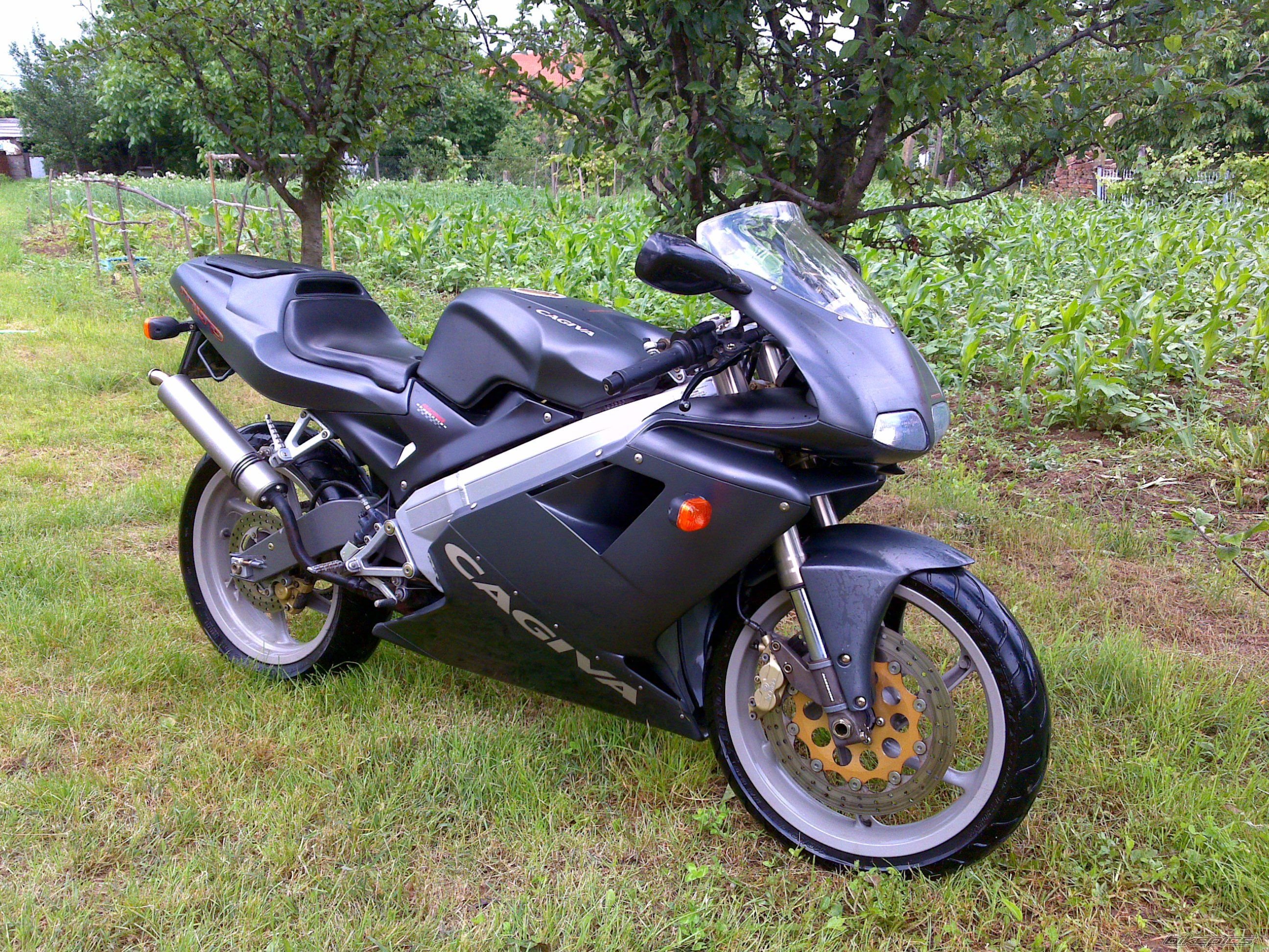 Photo 2001543