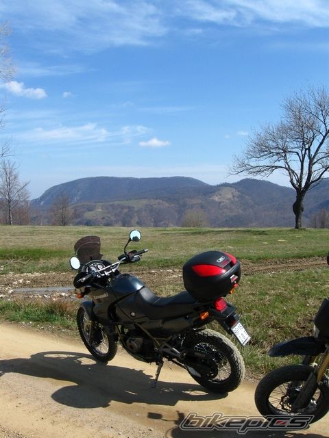 Photo 2001695