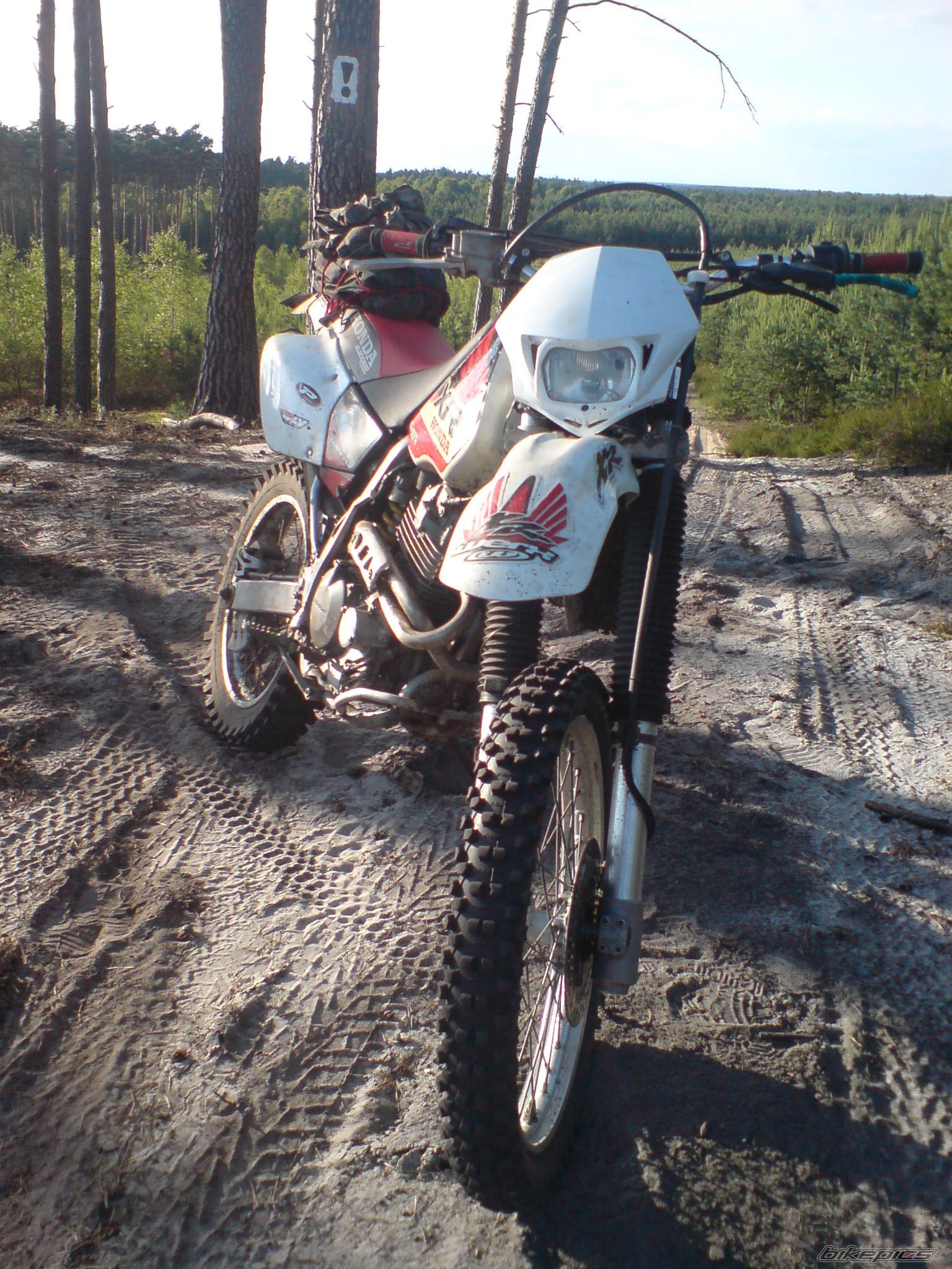 Bike Photo 2001795