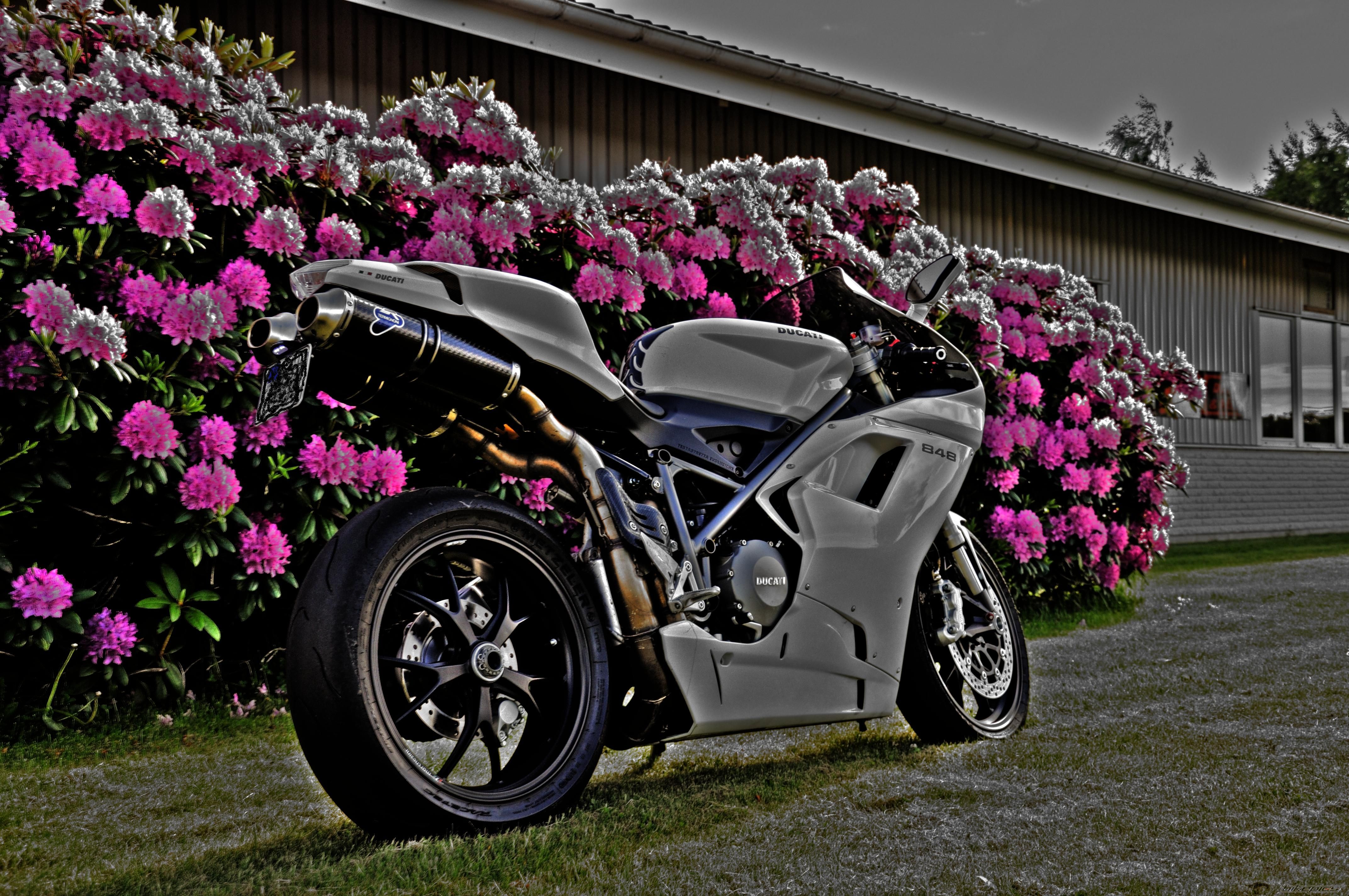 Bike Photo 2002017