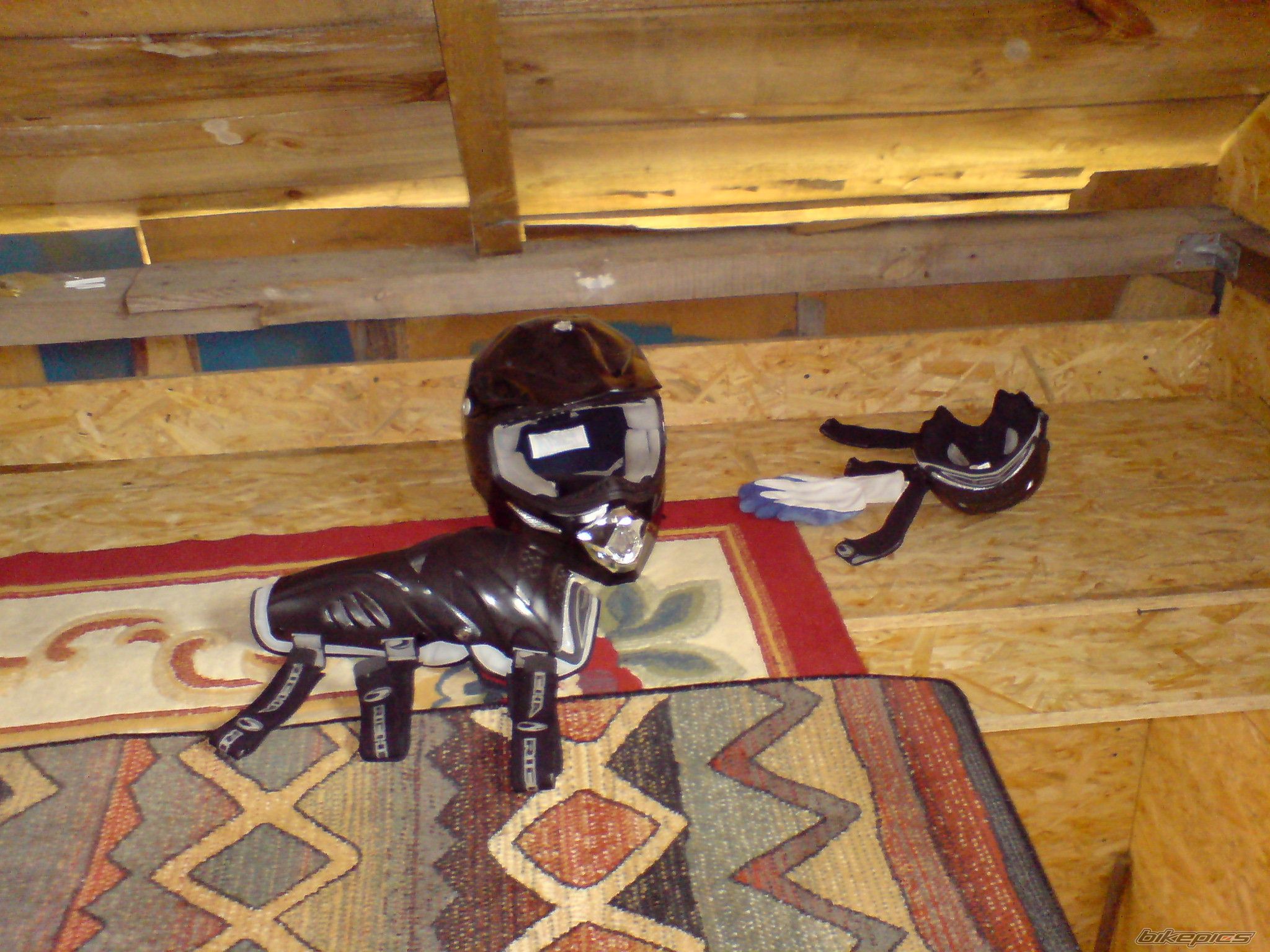 Photo 2002034