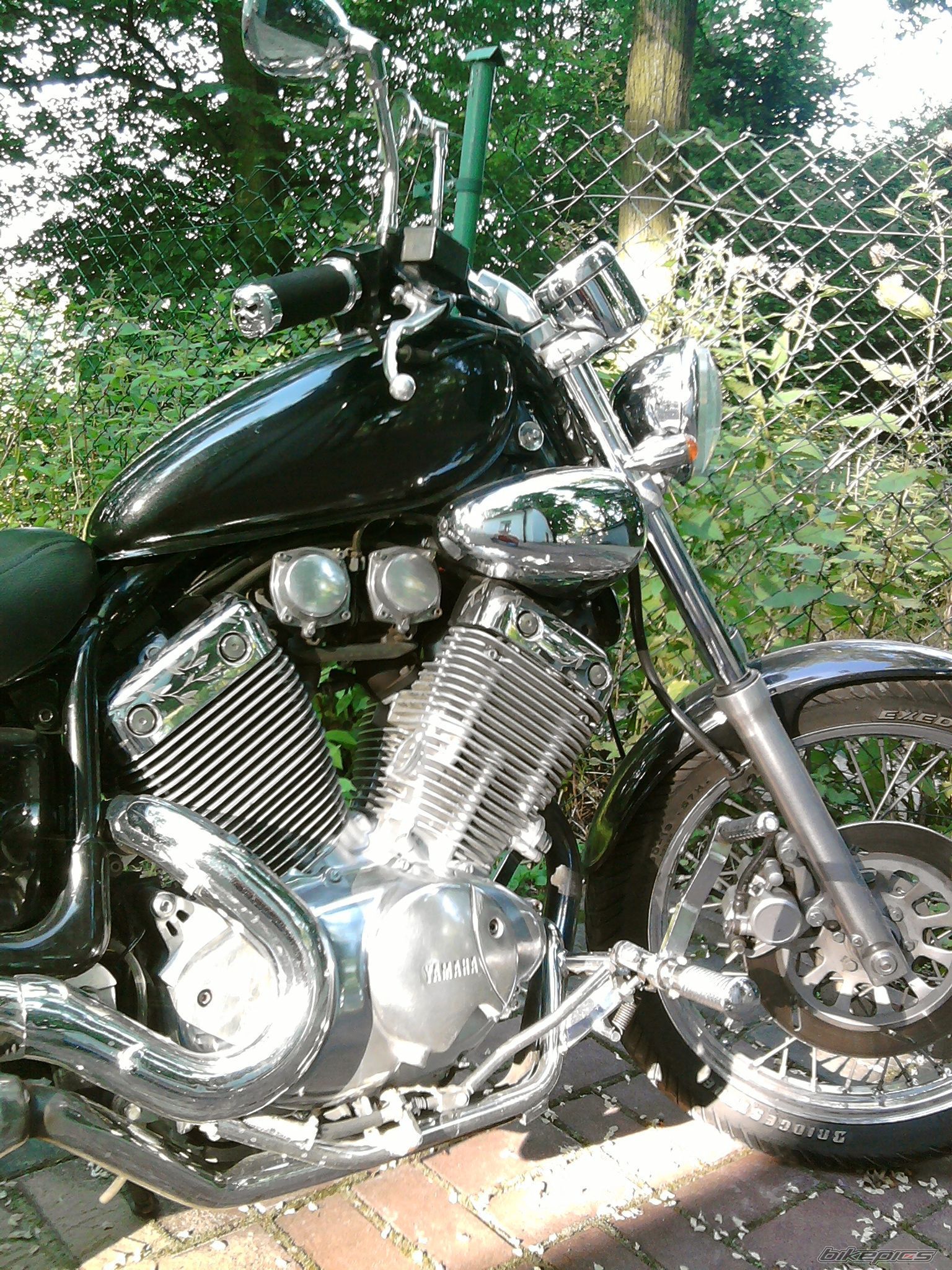 Photo 2002081