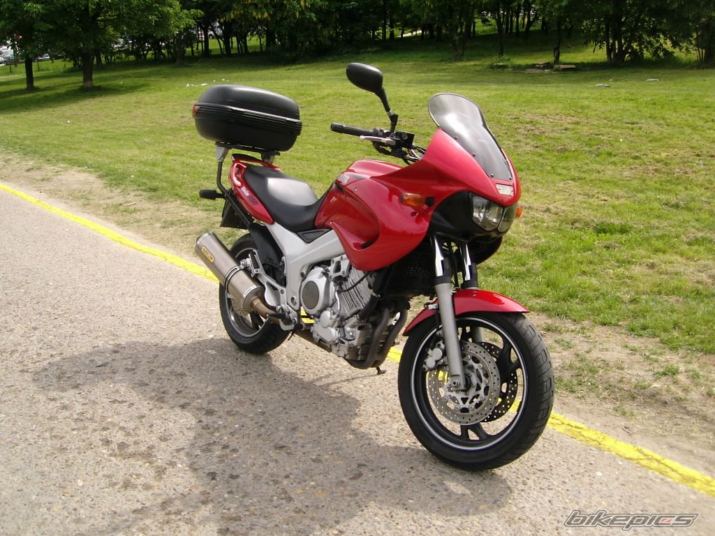 Photo 2002150