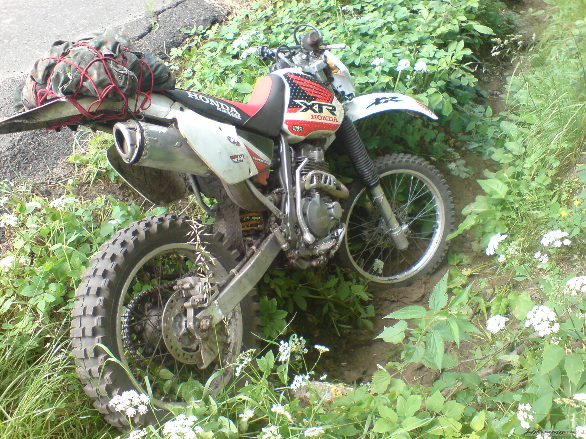 Bike Photo 2002479