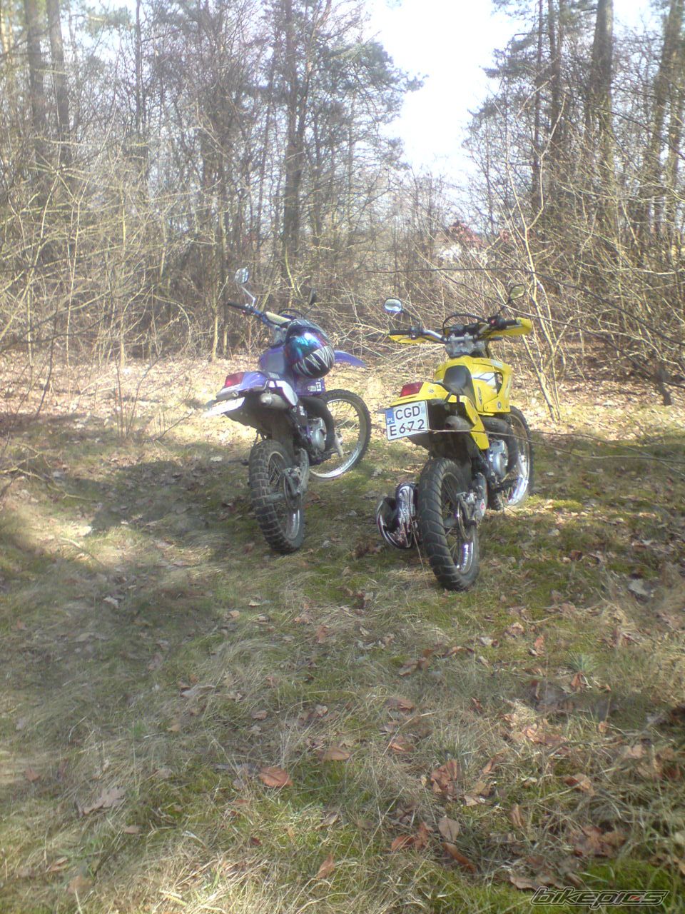 Photo 2002497
