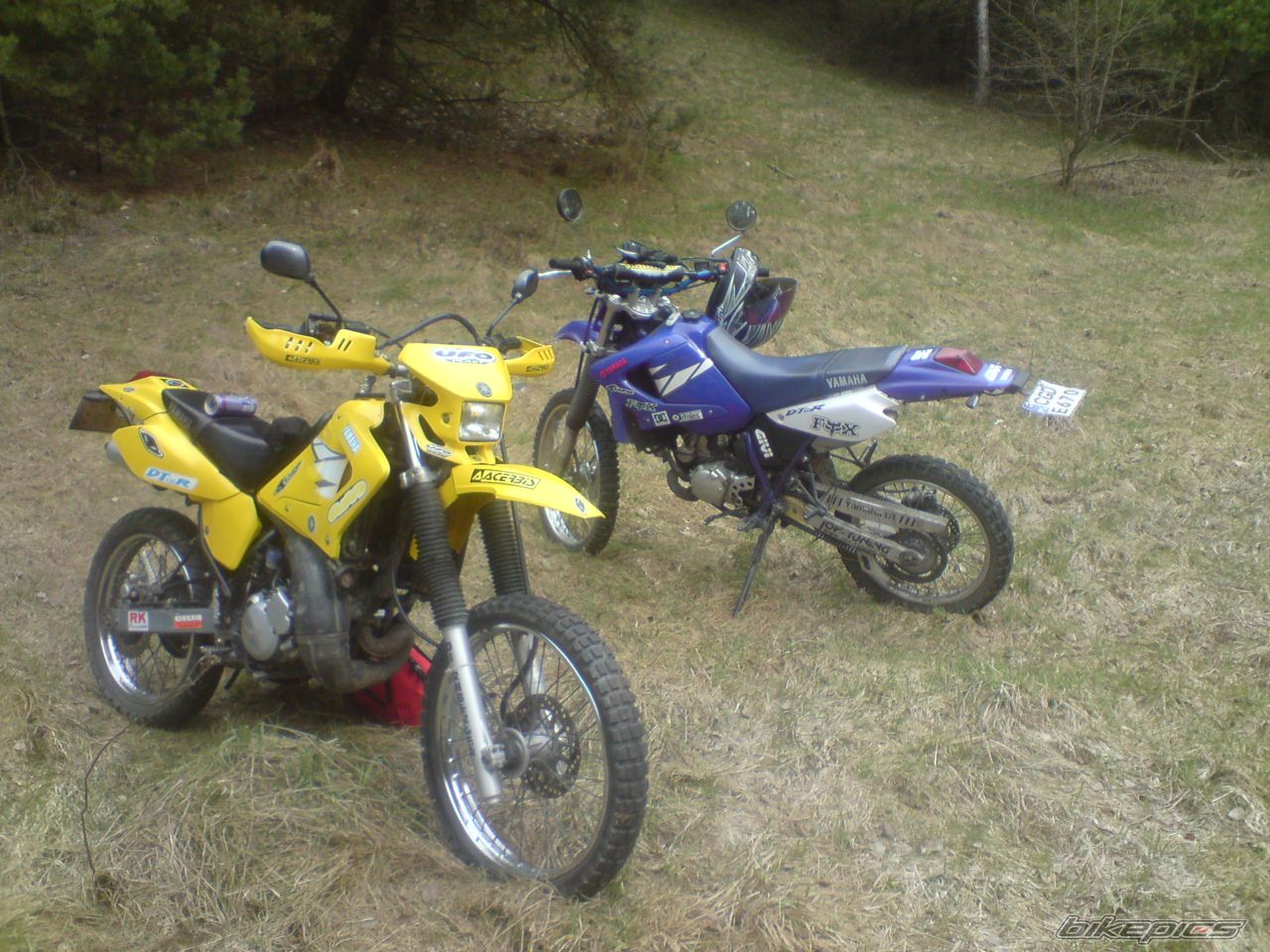 Photo 2002499