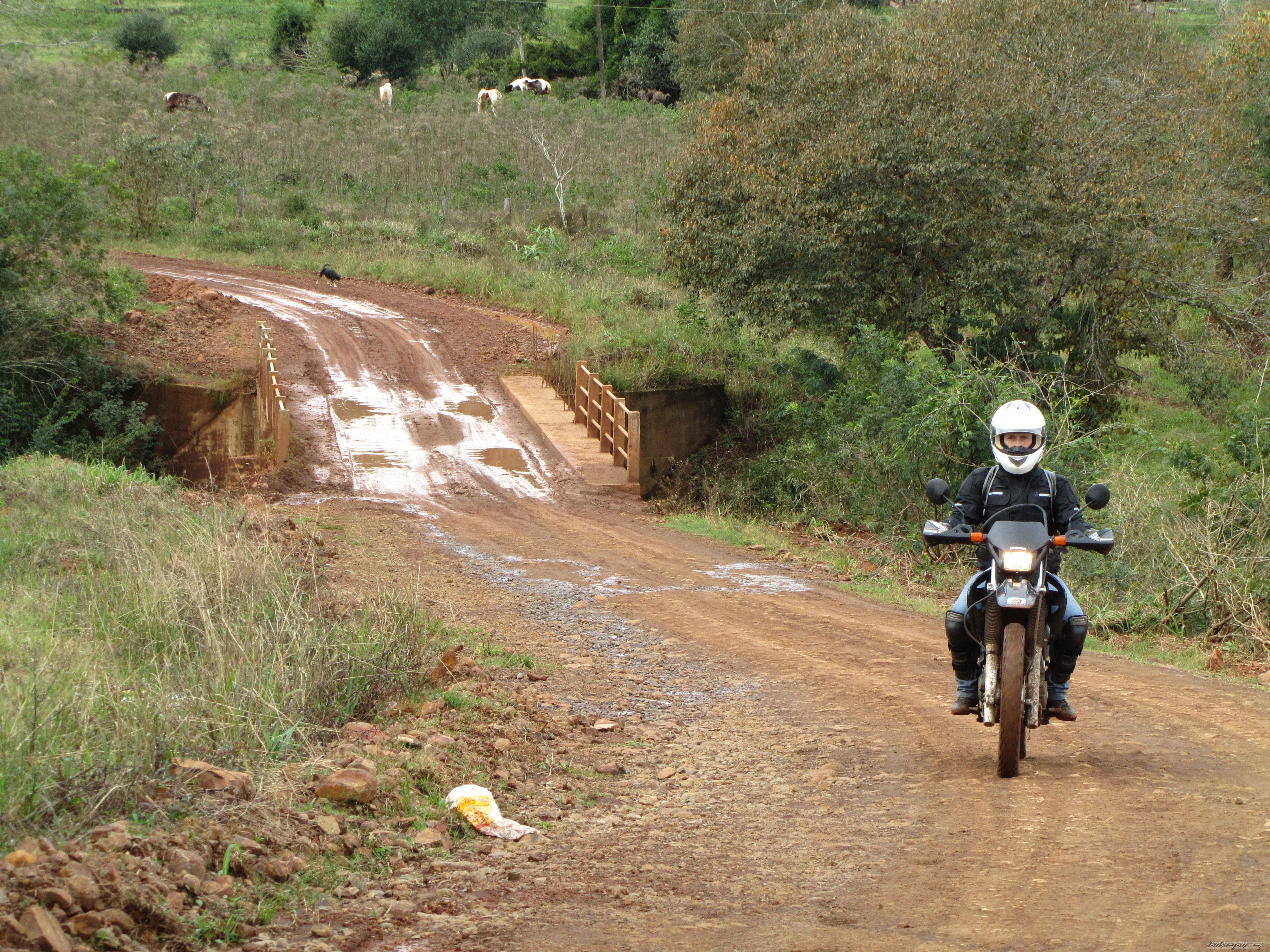 Bike Photo 2002535