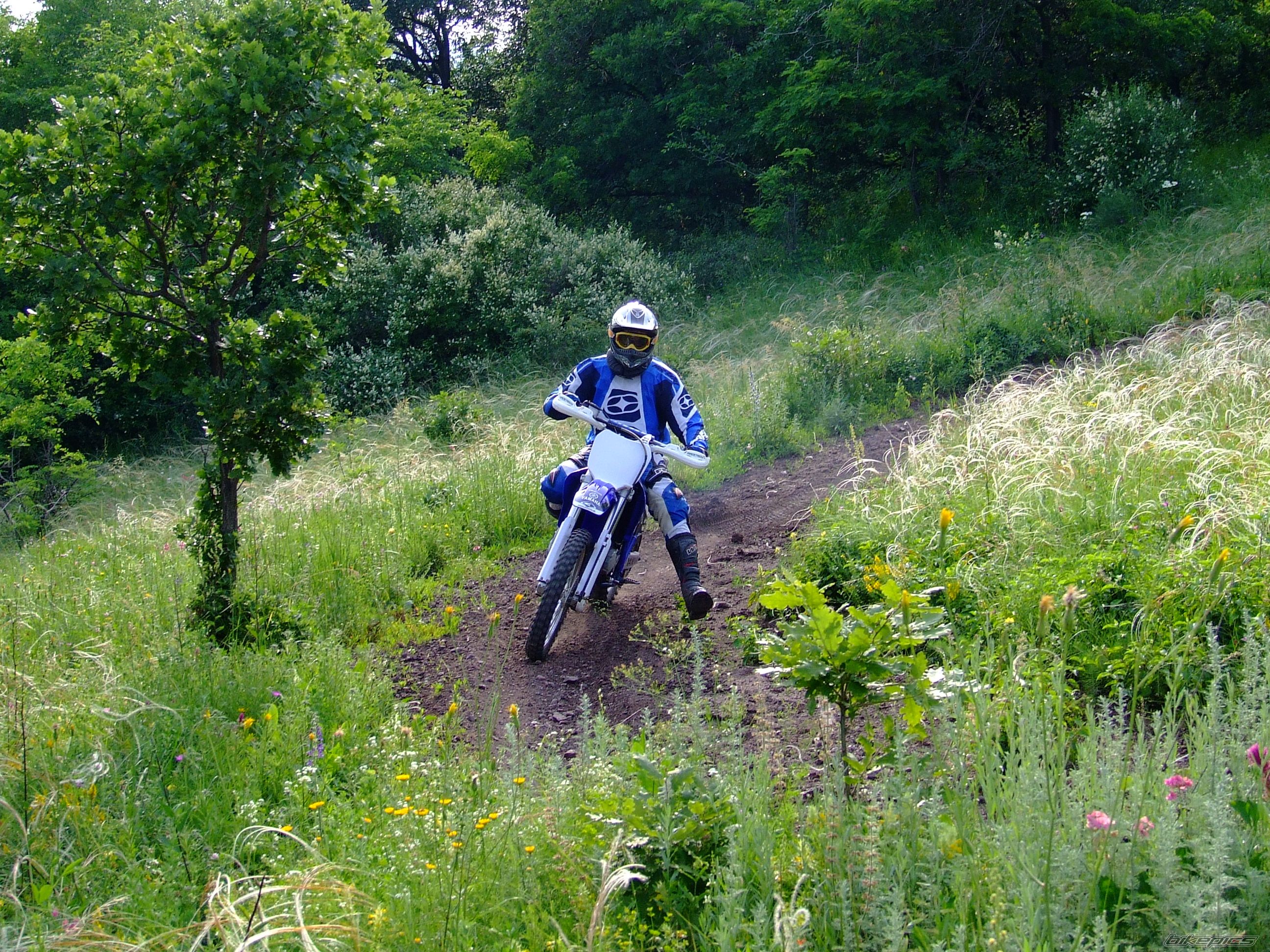 Photo 2002553