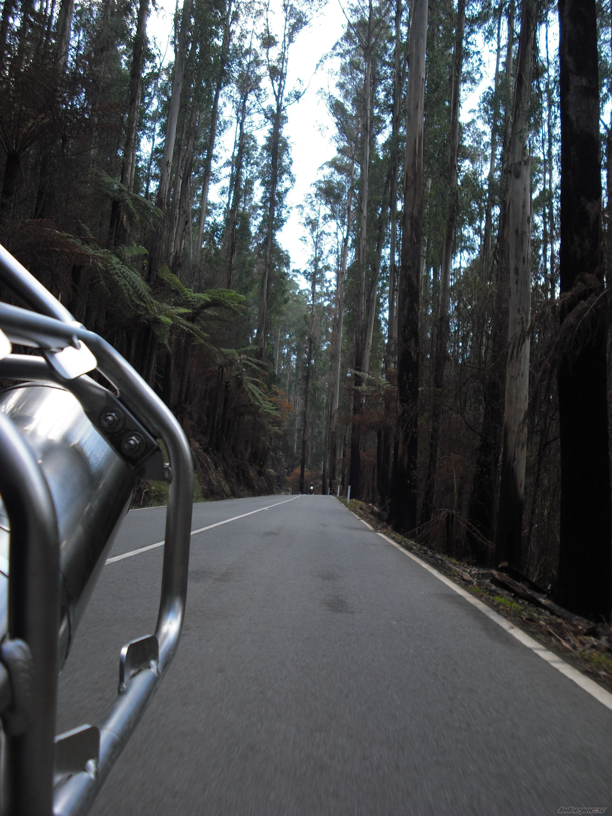 Bike Photo 2002818