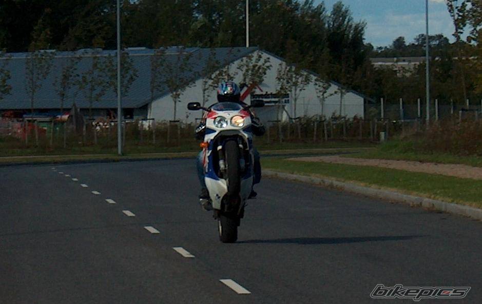 Photo 200287