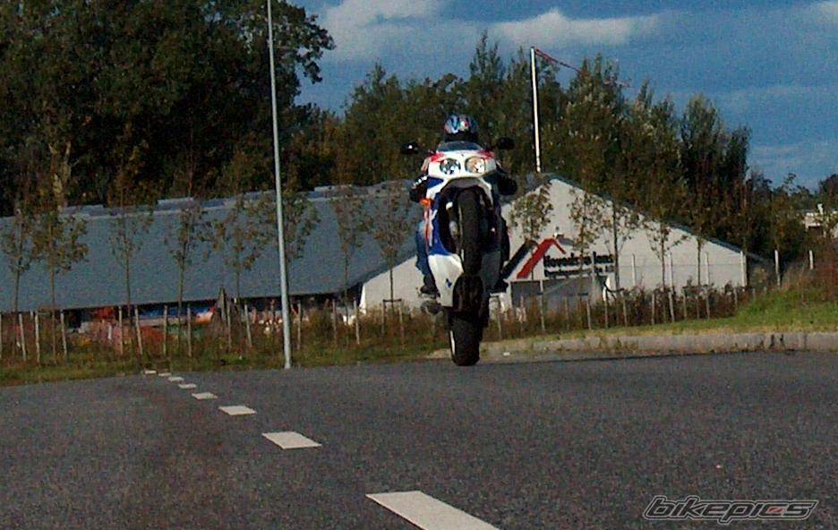 Photo 200288