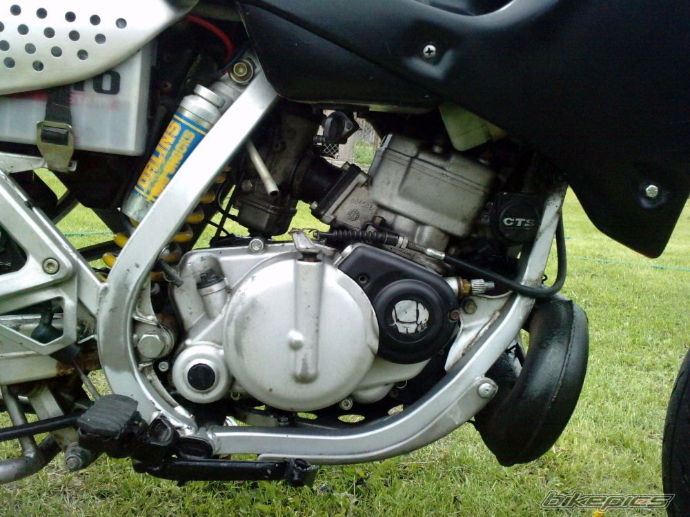 Photo 2002894