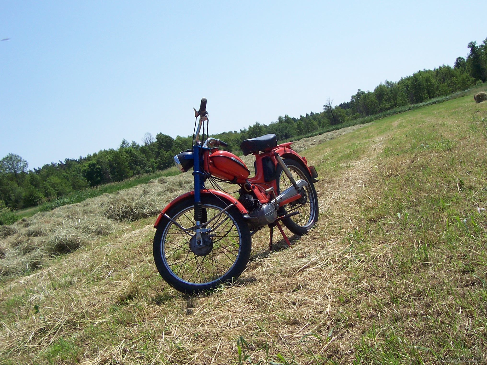 Photo 2002983