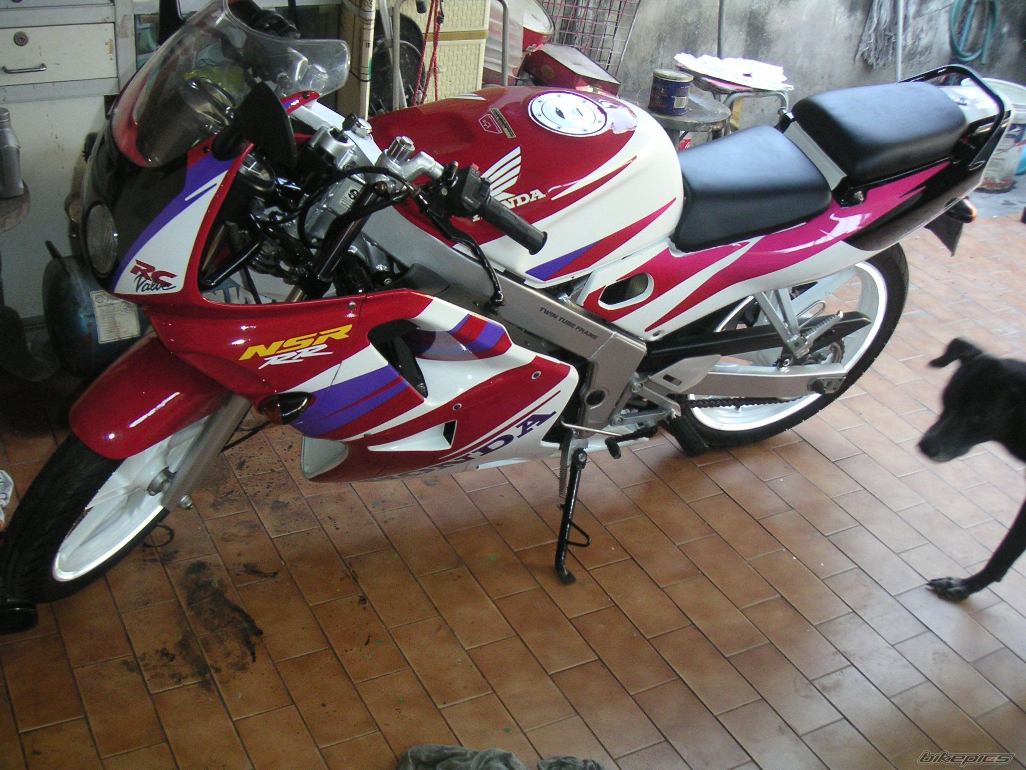 Photo 2003027
