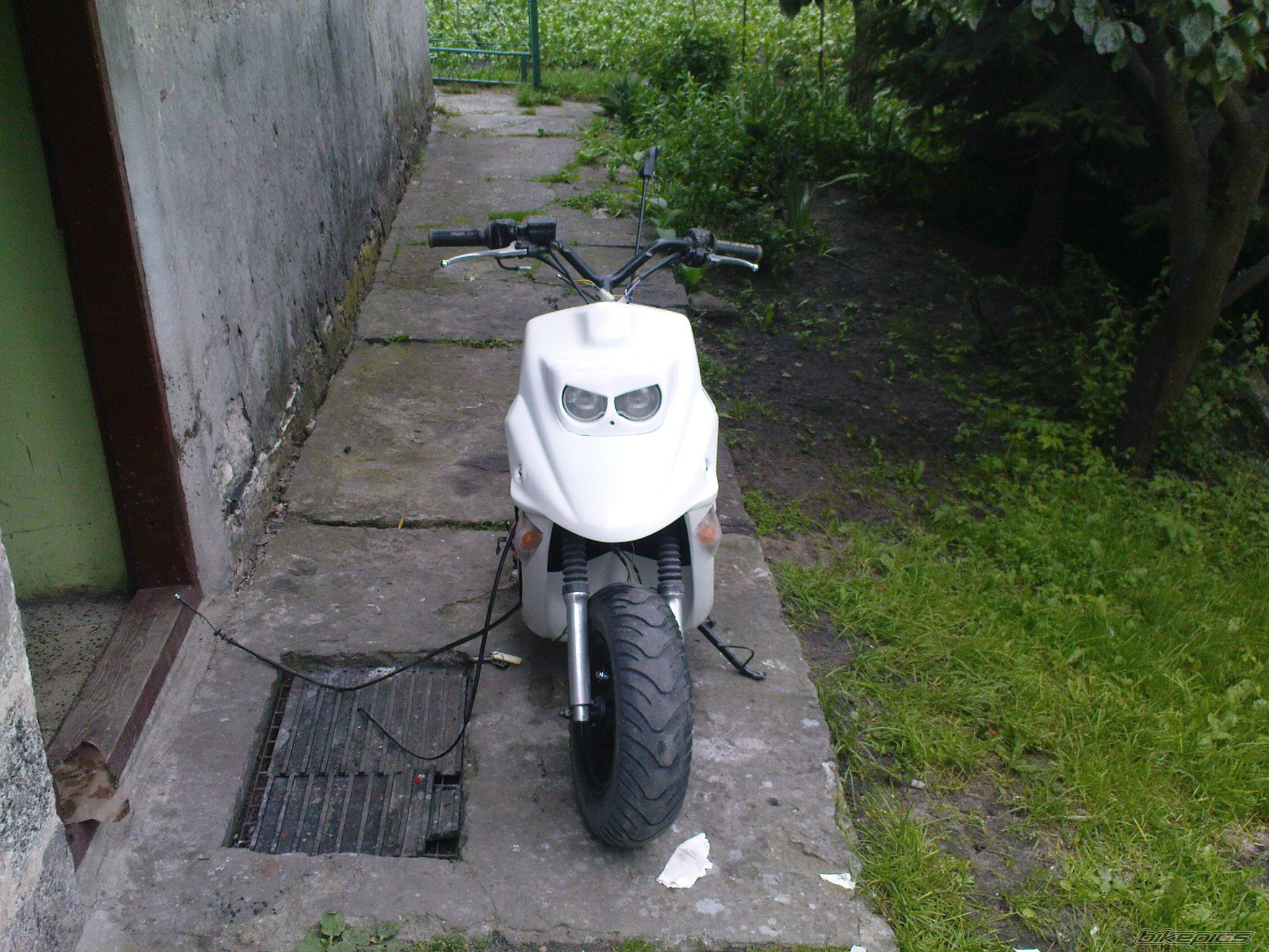 Photo 2003034