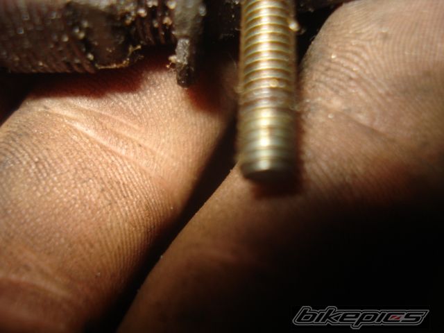 Photo 2003078