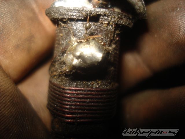 Photo 2003079
