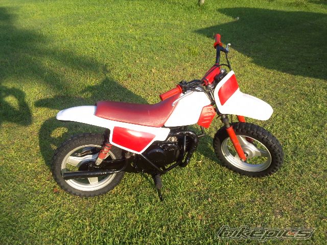 Photo 2003097