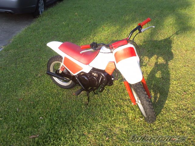 Photo 2003100