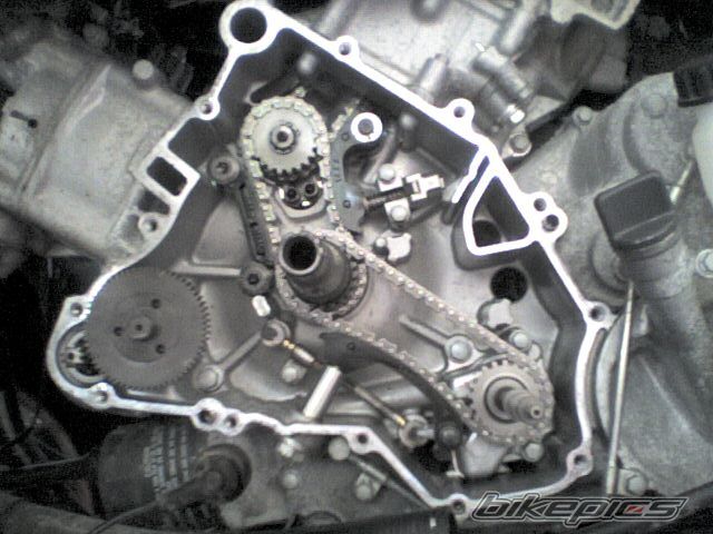 Photo 2003233